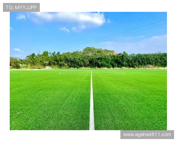 新2体育：积极践行绿色体育理念，为青少年提供环保、安全的运动环境和培训方案