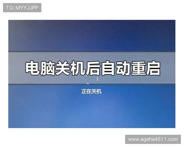wm视讯app常见问题与故障排查方法帮助用户快速解决使用中的困扰